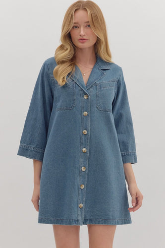 Denim Button Down Dress