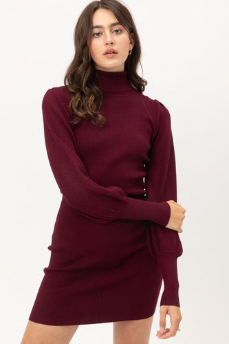Wine Turtleneck Sweater Dress