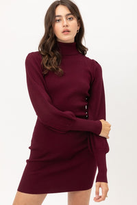 Wine Turtleneck Sweater Dress