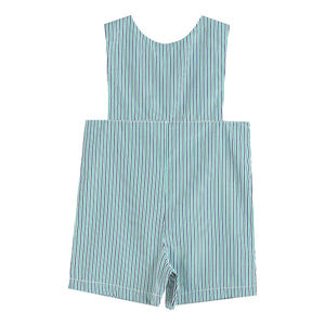 Dinosaur Shortalls